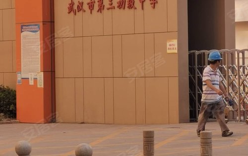 远洋东方境世界观8号地块旁的钟家村第二小学和武汉市第三初级中学