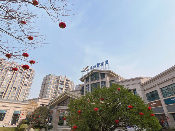 洛阳碧桂园,洛阳洛阳碧桂园房价,楼盘户型,周边配套,交通地图,开元大道与桂园路交叉口北800米 - 安居客