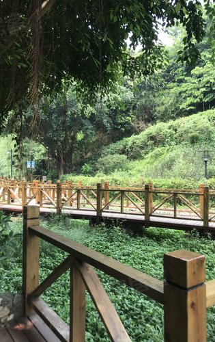 楼盘周边生态环境荔林公园大南山登山口游山玩水