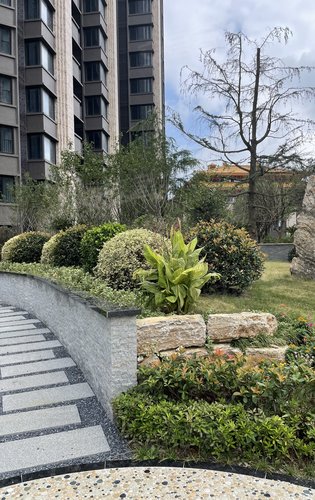 泗泾绿中海小区实景呈现