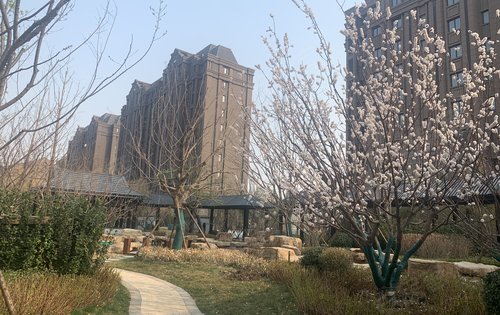 格调平园一期逸涵园
