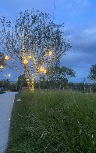 门口真漂亮网红打卡地