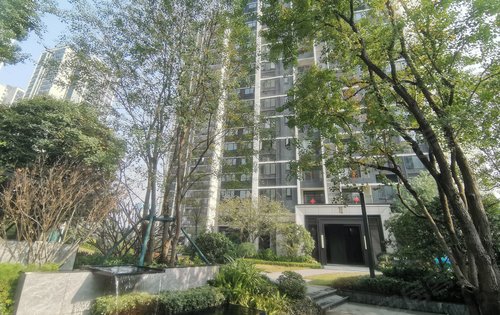 实体拍摄小区园林景观一角