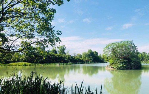 小長假可以來嘉裕羊馬溼地公園旅遊觀光