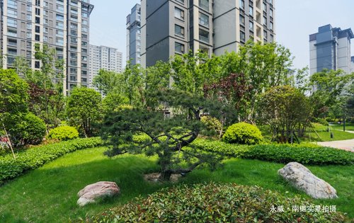 永威南樾一期交付小区实景拍摄选择永威给你一个森林里的家