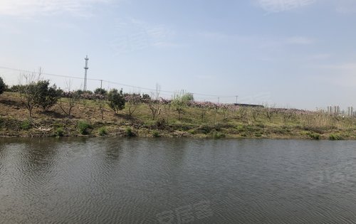 上海樓盤 上海周邊樓盤 太倉樓盤 越秀·向東島 樓盤動態