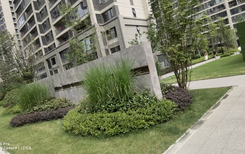 地建嘉信·臻华府动态:看看小区一角-汉中安居客