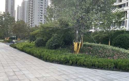 北外滩水城滨江雅园