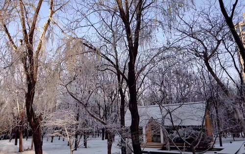 縵合·北京動態:霄八下雪啦!-北京安居客