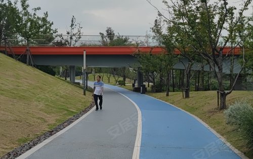 中奧濱河境動態:伯瀆河公園,櫻花廣場,運動跑道-無錫安居客