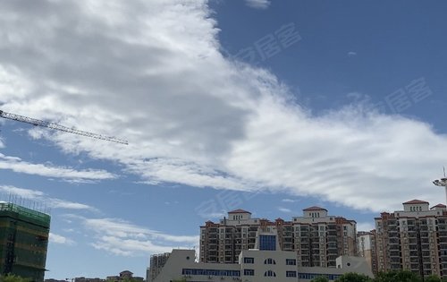 陈江文化广场,一起来放风筝