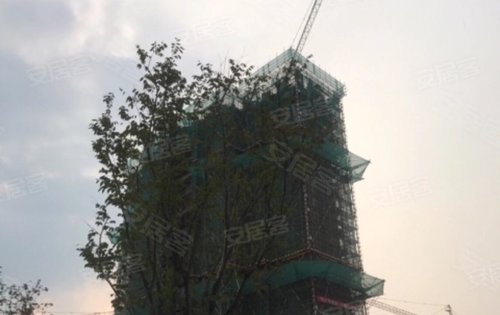 39号楼和40号楼即将加推