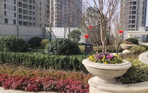 漯河绿城玫瑰园