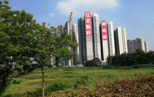 碧桂园日升昌领峰花园