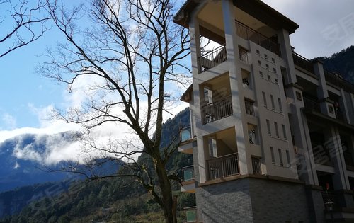 避暑房:金佛山云岭别院二期即将开盘,现在我们有现房噢,立马可以网签