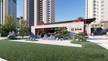 聊城阳谷阳谷嘉和城楼盘新房真实图片