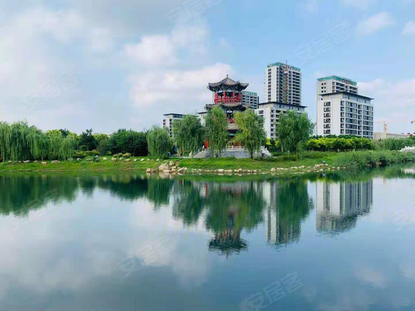 悦湖公馆，邢台悦湖公馆房价，楼盘户型，周边配套，交通地图，泉南大街与文苑路交叉口东北角 - 安居客