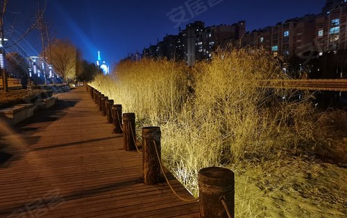 家门口的包河公园夜景