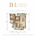 邦泰·河东院子楼层平面图