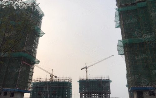 39号楼和40号楼即将加推