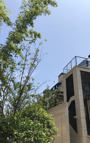 万科常春藤动态:小区绿化率不错有高层和叠墅适合刚需客户-上海安居客