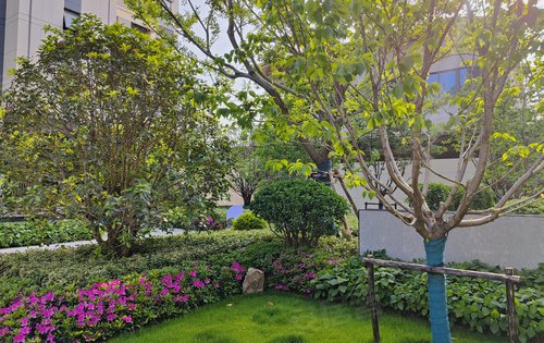 拍个小区实景示范区绿化可达35今年拿房像住在公园里的家呀