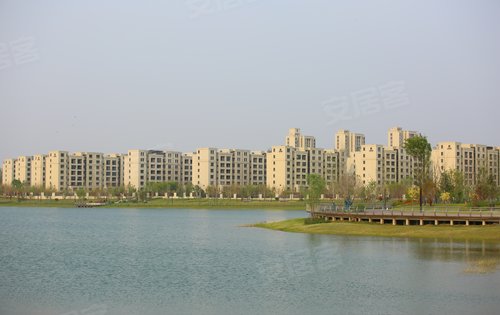 正商公主湖滨湖公园实景绿化拍摄