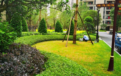 恒大城园林绿化实景拍摄!