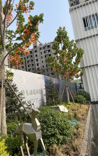 天津楼盘 北辰楼盘 大张庄镇楼盘 中梁·津门首府 楼盘动态