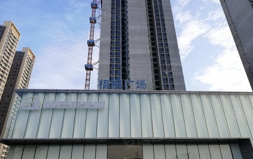 顺德未来城住宅动态:清晨的梧桐广场