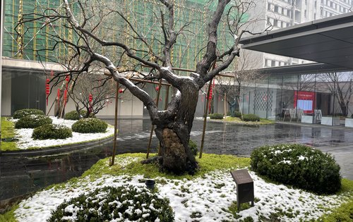 溪西云境总高11层春节期间折扣优惠多多看房联系我