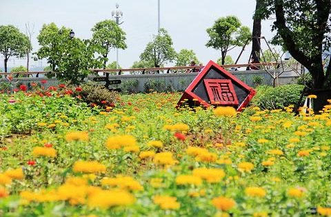 禹洲融信cone璽灣動態:家樓下的花海公園-福州安居客