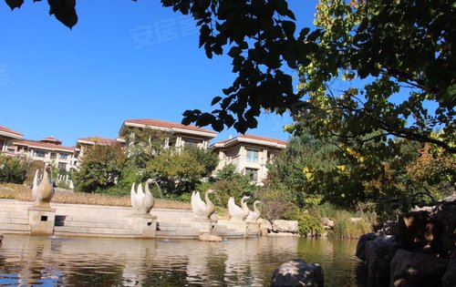 中体玲珑墅ii期别墅动态:园区实景拍摄,四季风景如画.-大连安居客