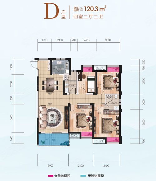 菱湖一品D户型，菱湖一品4室2厅2卫1厨约120.30平米户型图，朝南北朝向 - 鄂州安居客