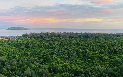 华润石梅湾九里青皮林和大海空气质量上乘干净的沙滩清澈的大海