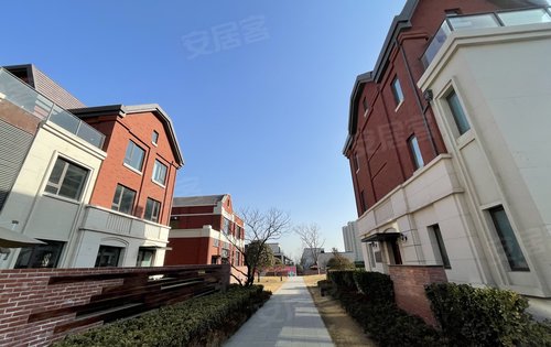 新城红岛湾朗隽