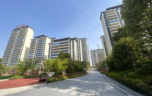 碧桂园金科凤凰湾动态:凤凰湾门口商圈逐渐成熟，一期二期交房的园区绿化楼栋外观，在售三期今年买明年住，单...-驻马店安居客