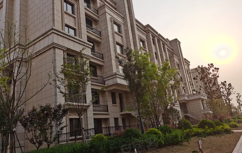 山顶御景园高层洋房今年交房欢迎咨询