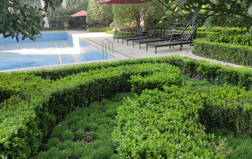 花园洋房小区自带泳池