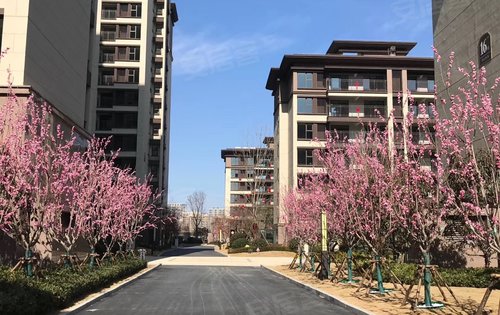 郑西建业联盟新城动态:已交房小区实景呈现,品质看得见-郑州安居客