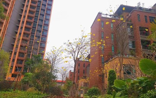 海伦香洲花园动态:海伦香洲花园小区一角拍摄.-惠州安居客