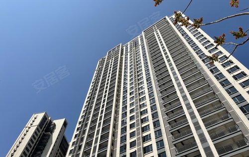 中海阅江府,这天气适合过来现场了解.