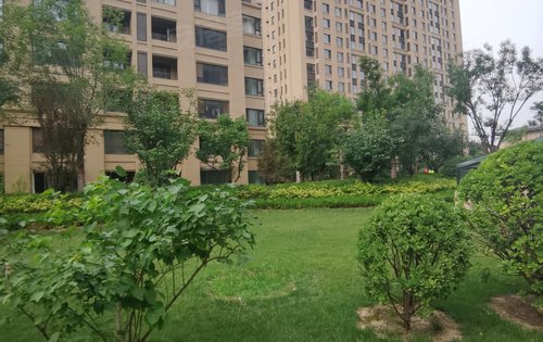 孔雀城开发区荷园二期洋房一层花园绿化环境实景拍摄 距离r1线地铁口