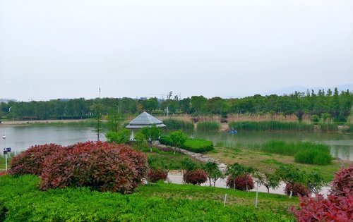 新保弘领东苑动态:麒麟中央公园的视角……-南京安居客