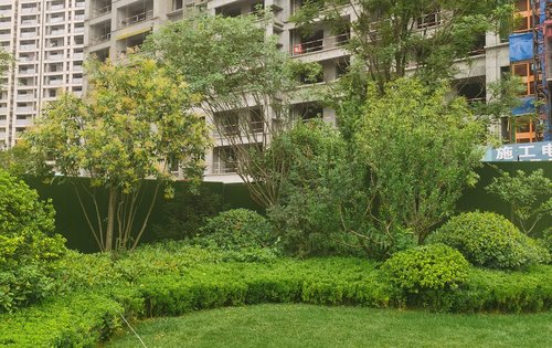 小区绿化保持良好草坪灌木乔木层次分明错落有致