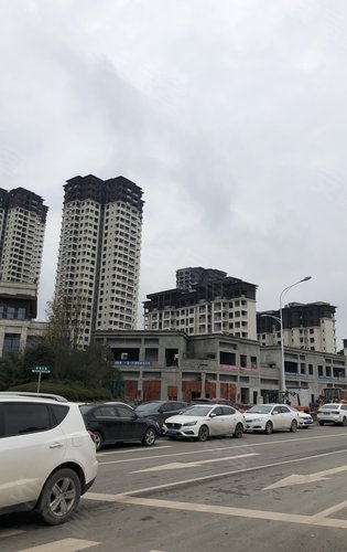 阳光中心城二期动态:中心城项目周边-南充安居客