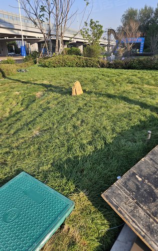 昆仑赋门口草坪