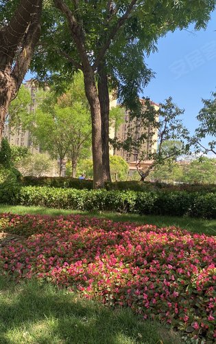 恒大山水城動態:小區園林景觀-天津安居客