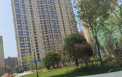 现代森林国际城北苑动态:森林国际7期翡冷翠小区绿化-仙桃安居客