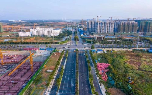 阳逻之心2018到2020年的变化